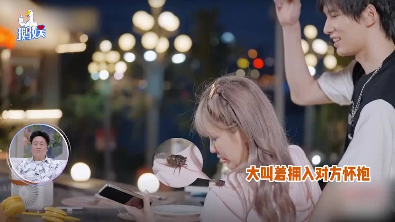 蓝狐视频