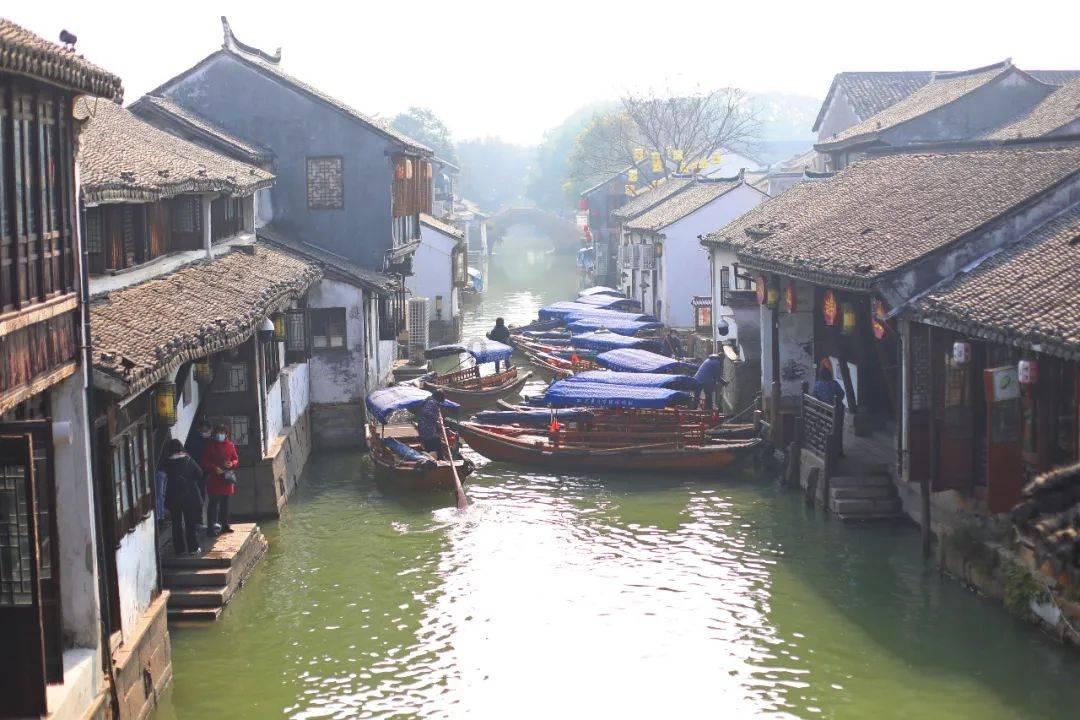 拯救精灵的土地10
